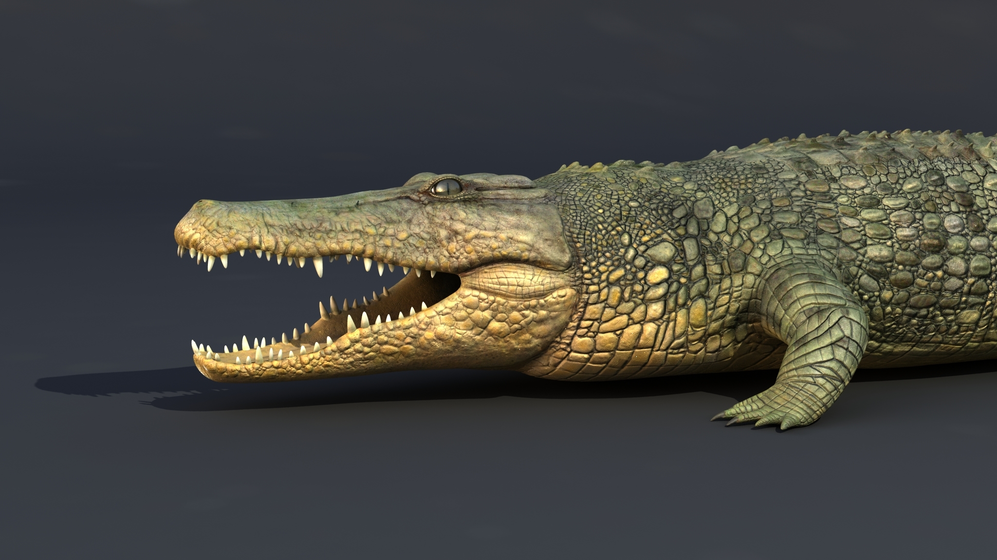 crocodile max