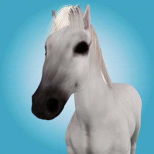 3d model of realistic horse