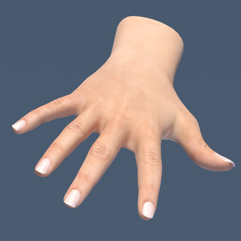 3d hand model for drawing