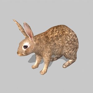 3d model rabbit uv