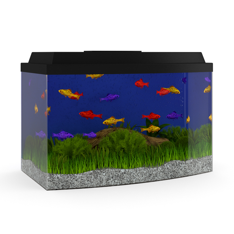 3d model volume 24 aquariums https://static.turbosquid.com/Preview/2014/07/08__17_45_09/all.jpgc48dc105-a27a-4023-917d-57cf32372233Original.jpg