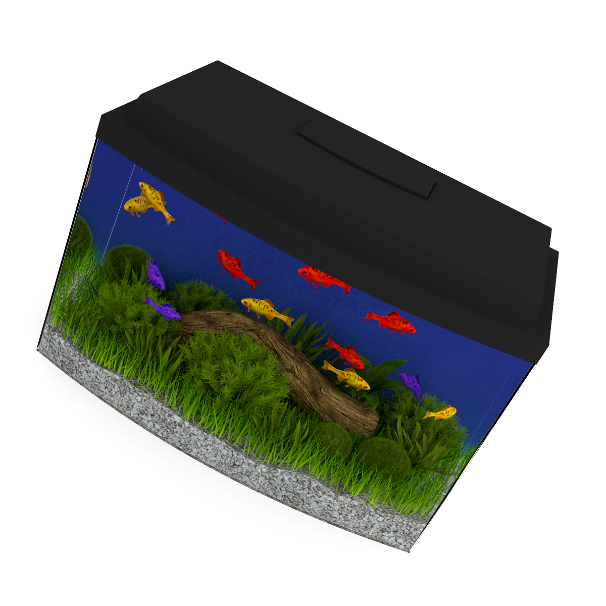 3d model volume 24 aquariums https://static.turbosquid.com/Preview/2014/07/08__17_45_09/all.jpgc48dc105-a27a-4023-917d-57cf32372233Original.jpg