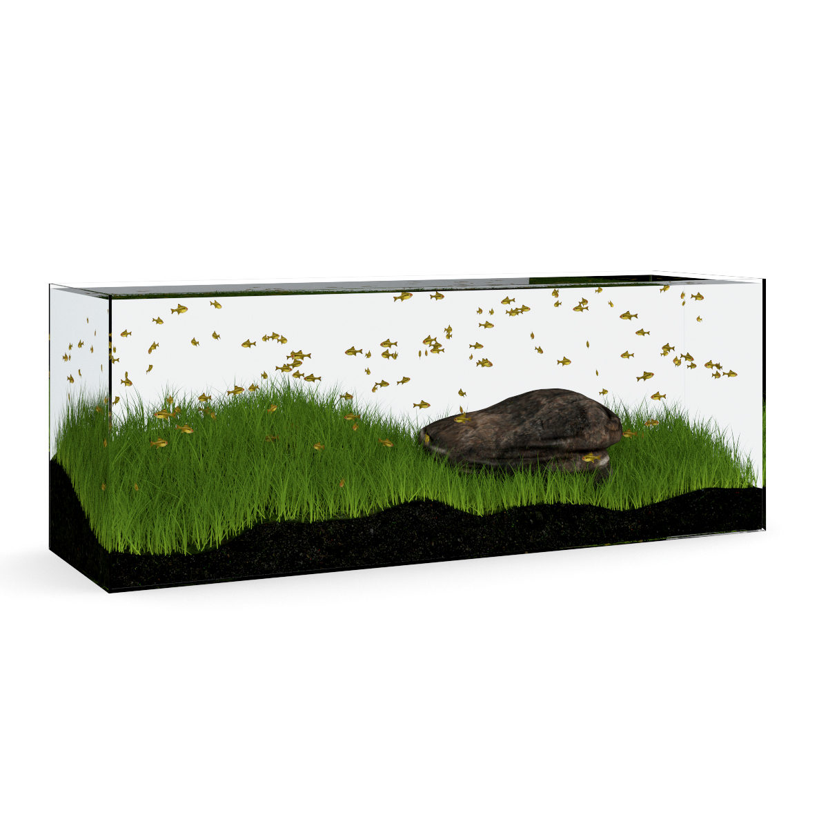 3d model volume 24 aquariums https://static.turbosquid.com/Preview/2014/07/08__17_45_09/all.jpgc48dc105-a27a-4023-917d-57cf32372233Original.jpg