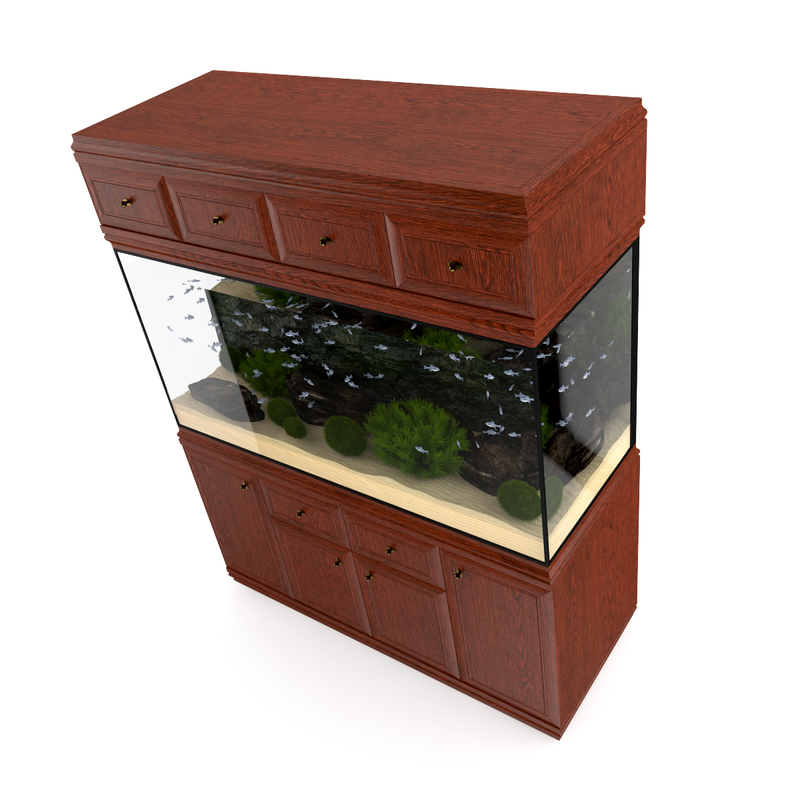 3d model volume 24 aquariums https://static.turbosquid.com/Preview/2014/07/08__17_45_09/all.jpgc48dc105-a27a-4023-917d-57cf32372233Original.jpg