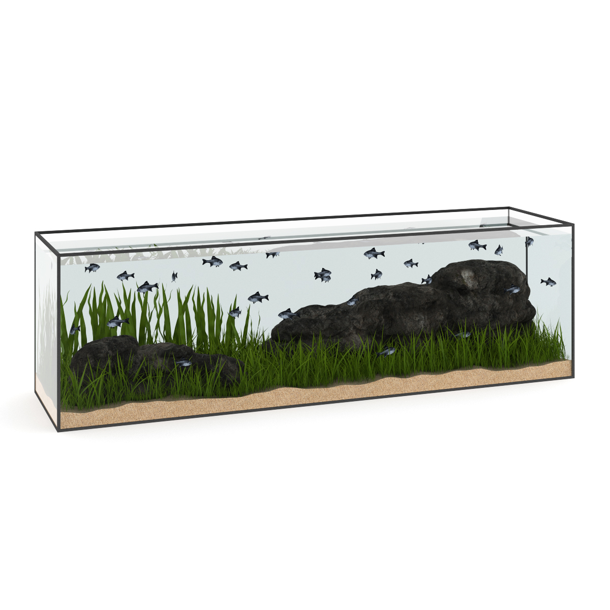 3d model volume 24 aquariums https://static.turbosquid.com/Preview/2014/07/08__17_45_09/all.jpgc48dc105-a27a-4023-917d-57cf32372233Original.jpg