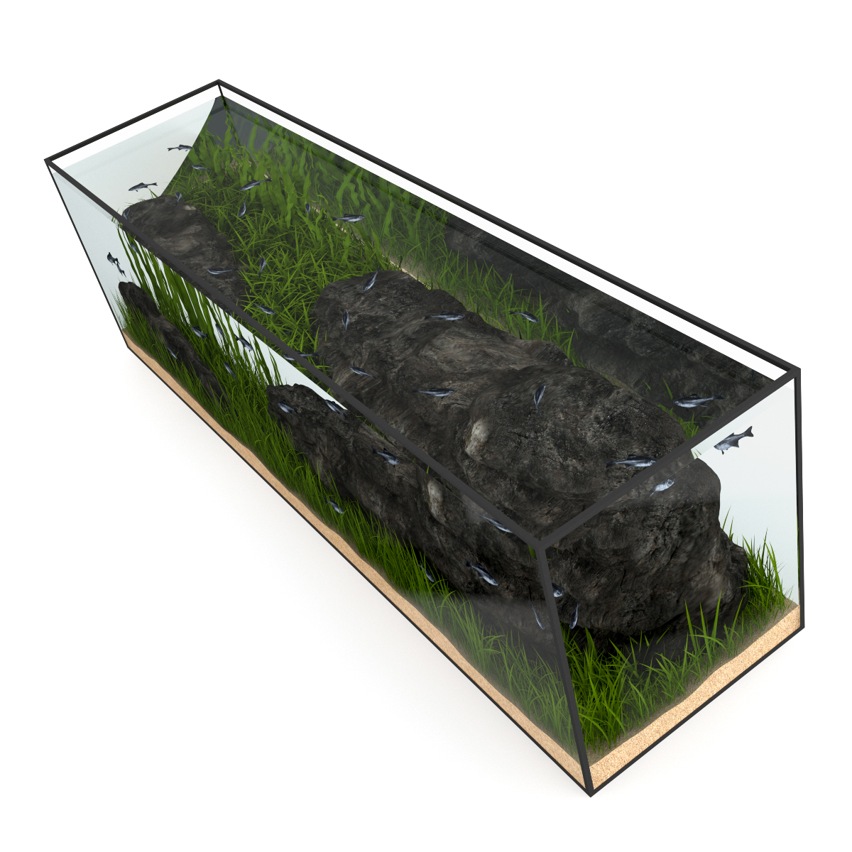 3d model volume 24 aquariums https://static.turbosquid.com/Preview/2014/07/08__17_45_09/all.jpgc48dc105-a27a-4023-917d-57cf32372233Original.jpg