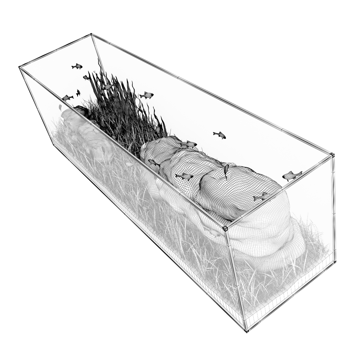 3d model volume 24 aquariums https://static.turbosquid.com/Preview/2014/07/08__17_45_09/all.jpgc48dc105-a27a-4023-917d-57cf32372233Original.jpg