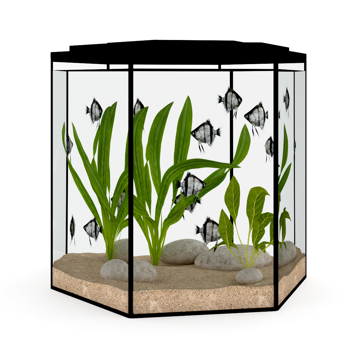 3d model volume 24 aquariums https://static.turbosquid.com/Preview/2014/07/08__17_45_09/all.jpgc48dc105-a27a-4023-917d-57cf32372233Original.jpg