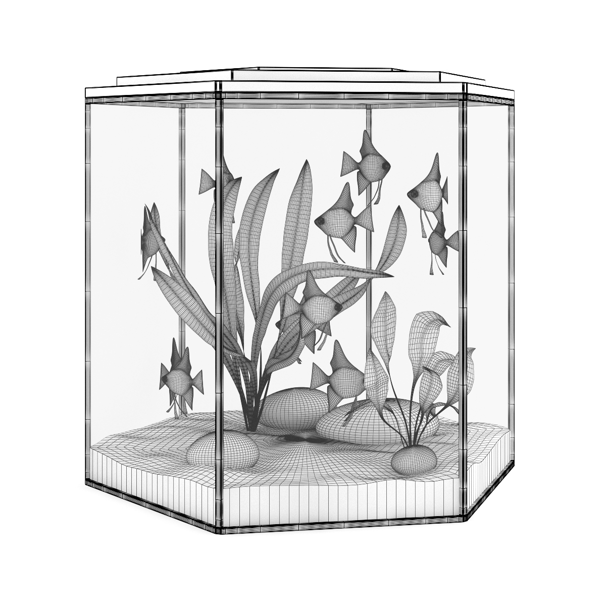 3d model volume 24 aquariums https://static.turbosquid.com/Preview/2014/07/08__17_45_09/all.jpgc48dc105-a27a-4023-917d-57cf32372233Original.jpg