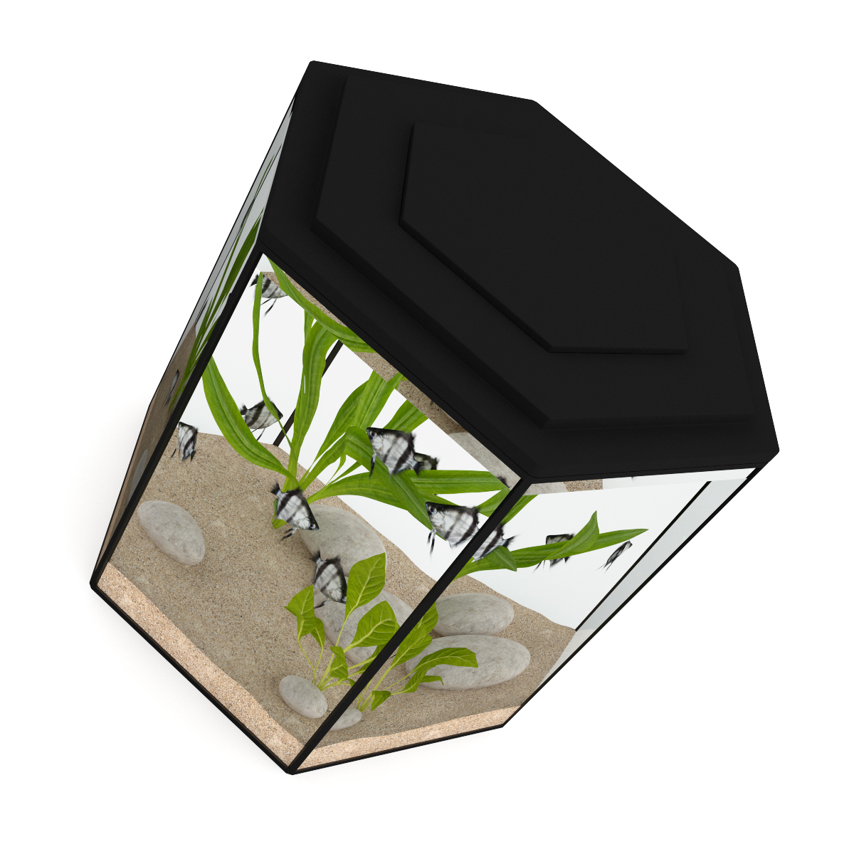 3d model volume 24 aquariums https://static.turbosquid.com/Preview/2014/07/08__17_45_09/all.jpgc48dc105-a27a-4023-917d-57cf32372233Original.jpg