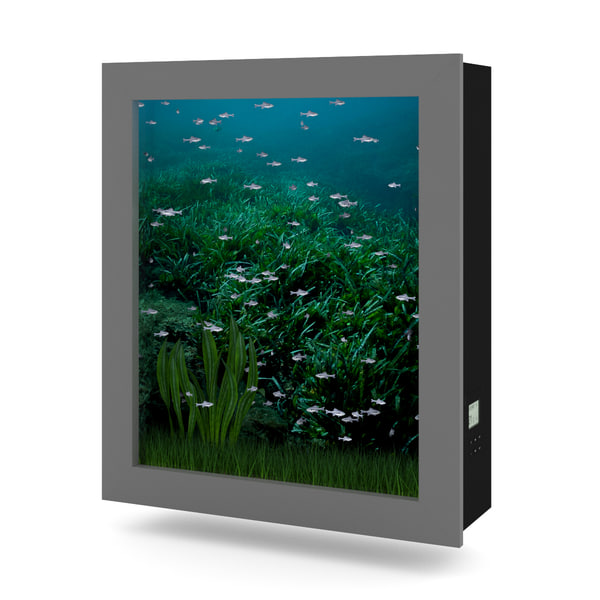 3d wall aquarium