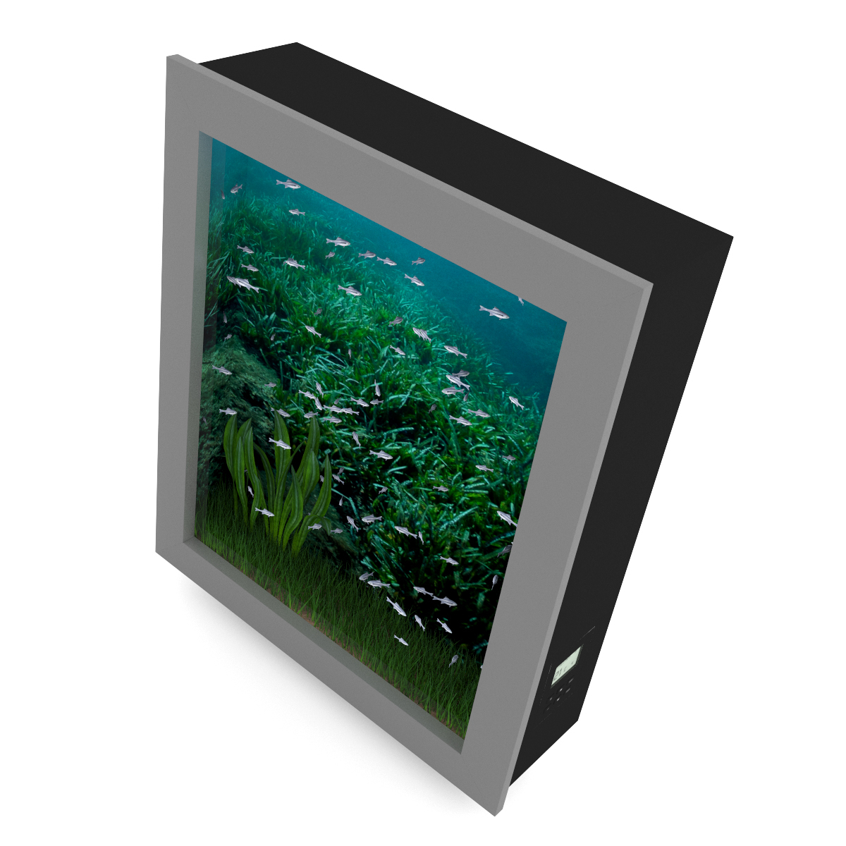 3d model volume 24 aquariums https://static.turbosquid.com/Preview/2014/07/08__17_45_09/all.jpgc48dc105-a27a-4023-917d-57cf32372233Original.jpg