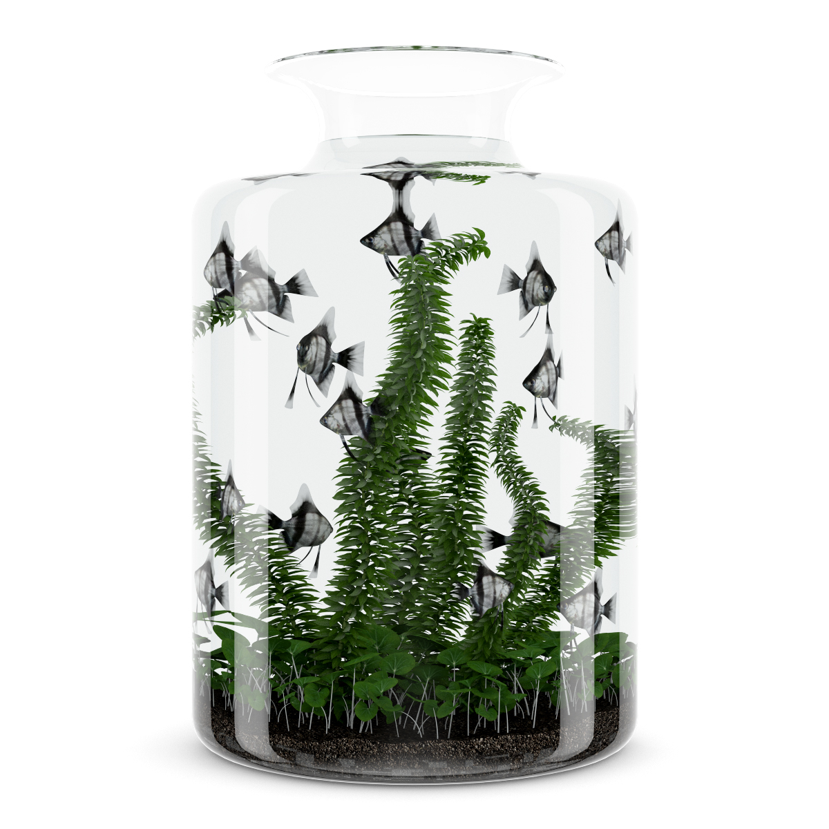 3d model volume 24 aquariums https://static.turbosquid.com/Preview/2014/07/08__17_45_09/all.jpgc48dc105-a27a-4023-917d-57cf32372233Original.jpg