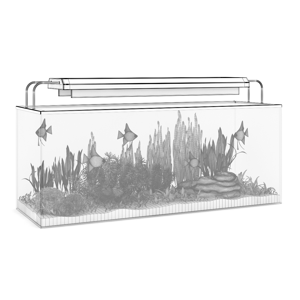 3d model volume 24 aquariums https://static.turbosquid.com/Preview/2014/07/08__17_45_09/all.jpgc48dc105-a27a-4023-917d-57cf32372233Original.jpg