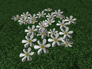 patch flowers 3ds free