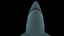 3d obj great white shark
