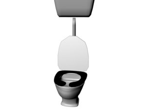 flush toilet x free