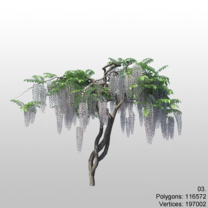tree flower 3d model