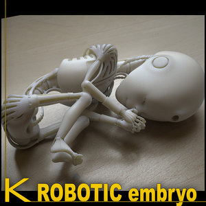 3d robotic embryo