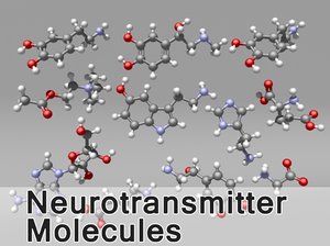 3d model molecular neurotransmitters