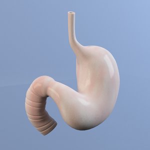stomach 2011 3d 3ds