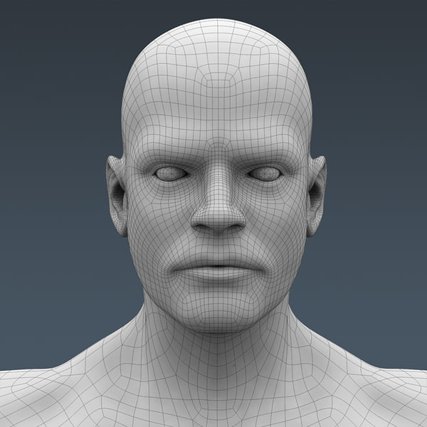 3d model human male body muscular