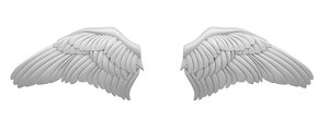maya wings bird cupid