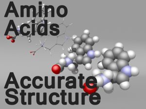 amino acids 3d obj