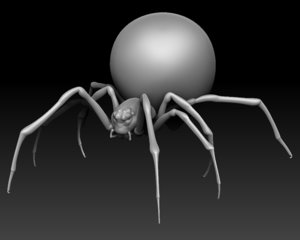 maya spider black widow