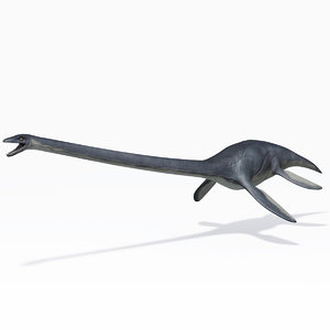 3d model marine elasmosaurus elasmosaur