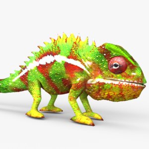 chameleon lizards 3d c4d