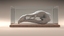 3d model bird skull
