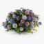 hydrangea flowers 3d 3ds