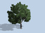 tree pack 3ds