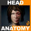 human female head anatomy 3d model