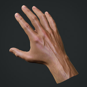 realistic male hand obj