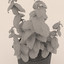 3d model photorealistic basil plant realistic