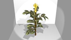 3d model of plant flower