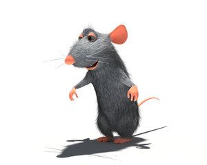 3d rat