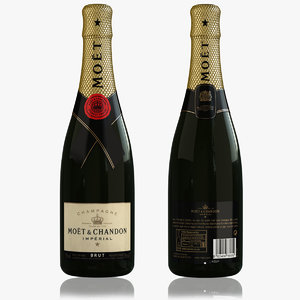 3d champagne model
