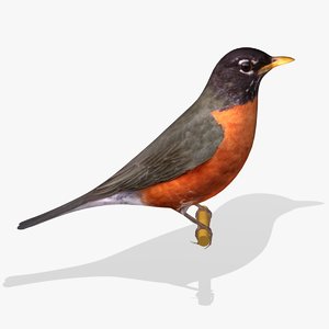american robin ab 3ds