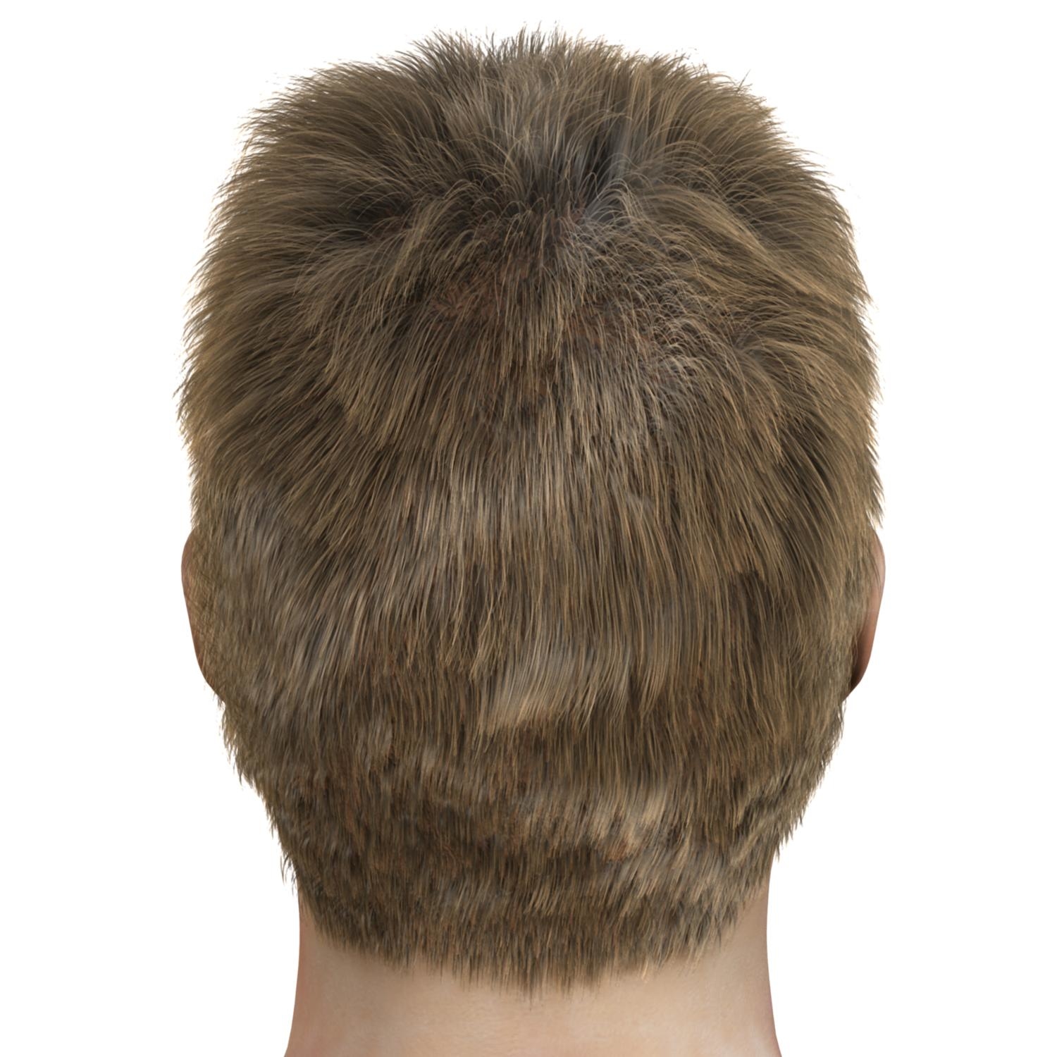 male head human man 3d x
