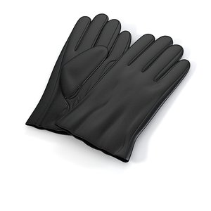 gloves 3d model