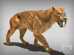 tiger lion extinct 3d max