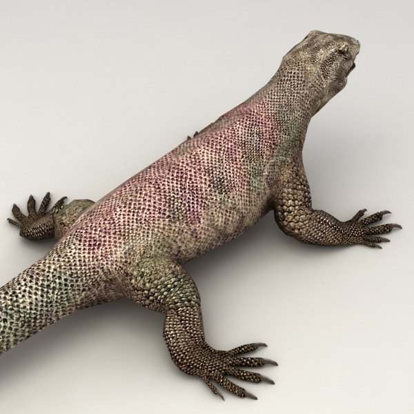 Monitor Lizard Ged 3d Max   Varan V2 9c13a295 D358 49e7 B69f C61941c91b8fLarge 