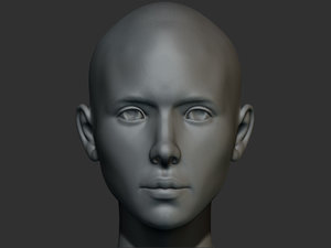 anatomy female 3d model