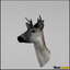 deer ged animations 3d max