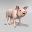 3d model animation pig