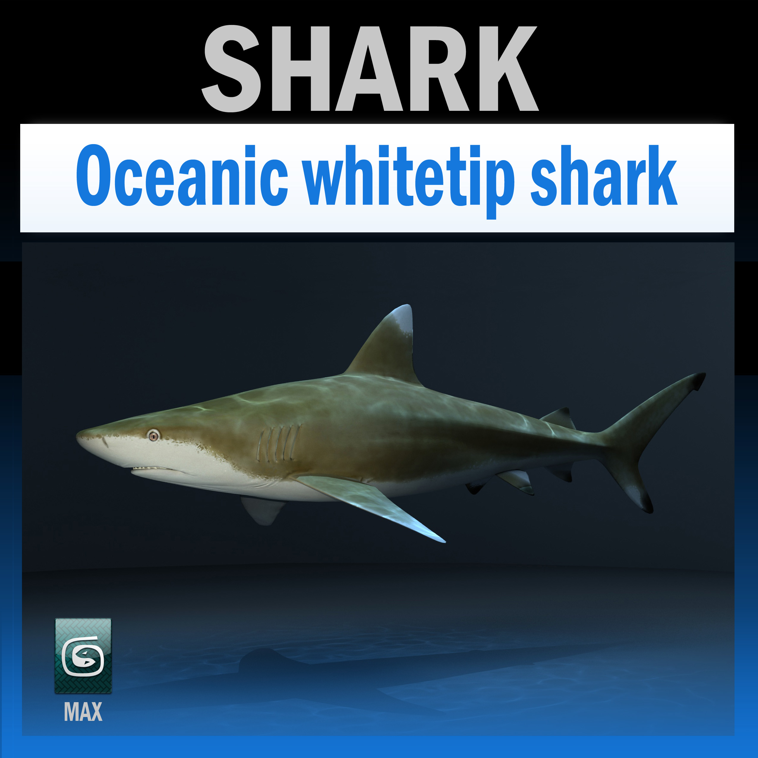 max oceanic shark