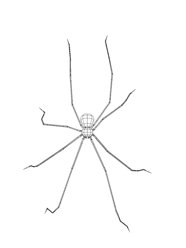 daddy long legs 3d model